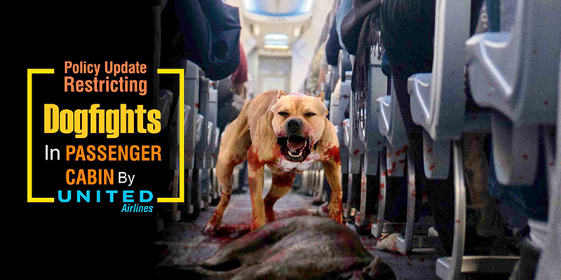Policy Update Restricting Dogfights In Passenger Cabin By United Airlines