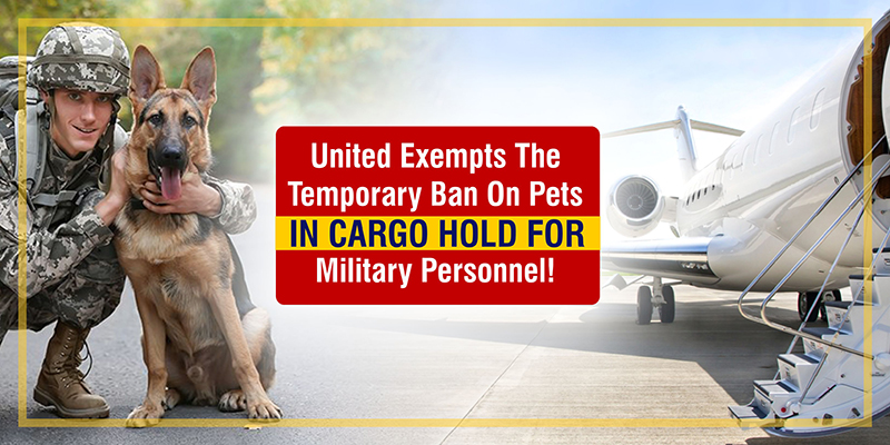 United Exempts The Temporary Ban On Pets In Cargo Hold For Military Personnel!