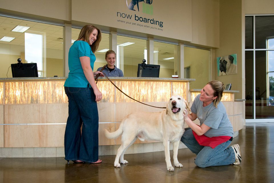 Philadelphia International Airport Now have An Amazing feature for the Passengers Traveling With Animals!