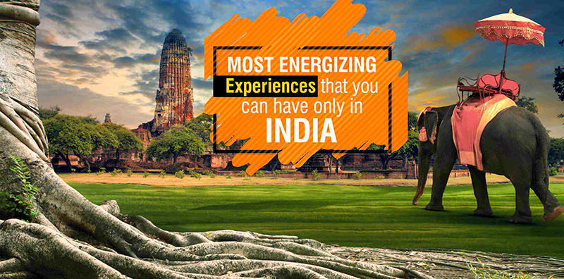 Most Energizing Experiences That You Can Have Only In India