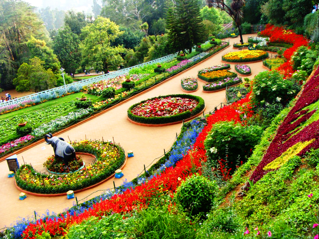 Ooty